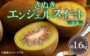 さぬきエンジェルスイート(小玉)　約1.6kg【2024年11月中旬～2025年2月上旬配送】 372013_T006-234J