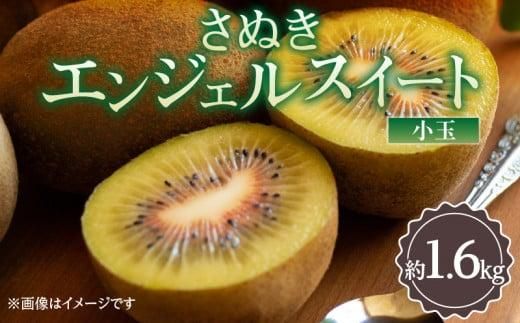 y쌧szʂGWFXC[g()@1.6kgy2024N11{`2025N2{zz 372013_T006-234J