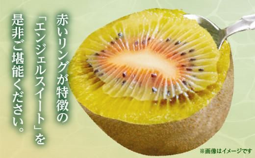 さぬきエンジェルスイート(小玉)　約1.6kg【2024年11月中旬～2025年2月上旬配送】 372013_T006-234J