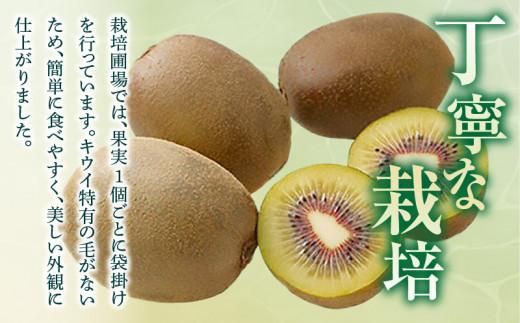 厳選大玉 さぬきエンジェルスイート 化粧箱 約1kg【2025年11月中旬～2026年2月上旬配送】 372013_T006-235J