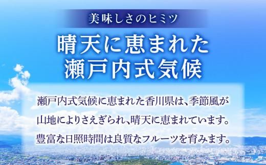 厳選大玉 さぬきエンジェルスイート 化粧箱 約1kg【2025年11月中旬～2026年2月上旬配送】 372013_T006-235J