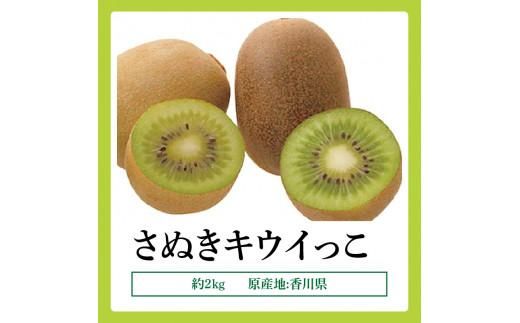 さぬきキウイっこ　約2kg【2026年10月下旬～2026年12月下旬配送】 372013_T006-237J