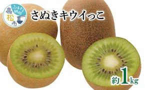 さぬきキウイっこ　約1kg【2026年10月下旬～2026年12月下旬配送】 372013_T006-238J