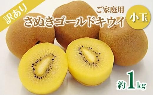 y쌧sz󂠂 ƒp ʂS[hLEC () 1kgy2025N10{`2026N1{zz 372013_T006-239J