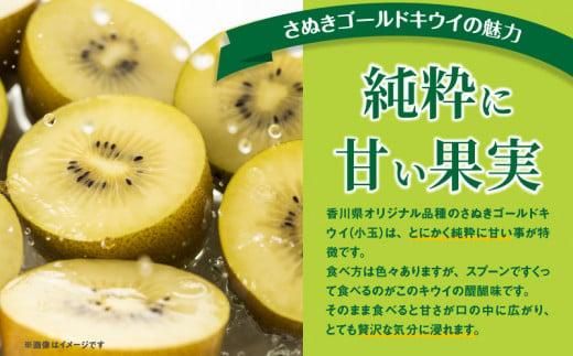 訳あり ご家庭用 さぬきゴールドキウイ (小玉) 約1kg【2025年10月中旬～2026年1月下旬配送】 372013_T006-239J