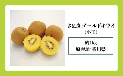 訳あり ご家庭用 さぬきゴールドキウイ (小玉) 約1kg【2025年10月中旬～2026年1月下旬配送】 372013_T006-239J