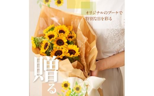 ヒマワリ切花(長さ60～80cm)【2026年6月中旬～2026年9月下旬配送】 372013_T006-240J