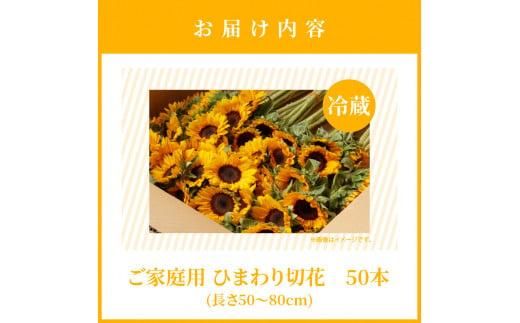 ご家庭用　ヒマワリ切花【2026年6月中旬～2026年9月下旬配送】 372013_T006-241J