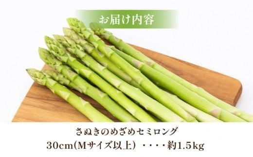 柔らかさと甘みが際立つ さぬきのめざめセミロング30cm(Mサイズ) 約1.5kg【2026-6月上旬～2026-6月下旬配送】 372013_T006-243J