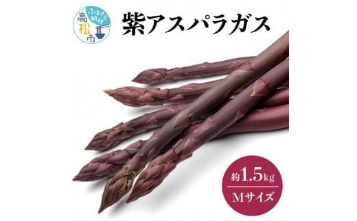 y쌧szMdŊÂ݂! AXpKX ( MTCY ) 1.5kgy2026-6{`2026-10{zz 372013_T006-249J