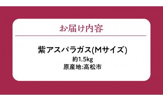貴重で甘みが強い! 紫アスパラガス ( Mサイズ ) 約1.5kg【2026-6月上旬～2026-10月中旬配送】 372013_T006-249J