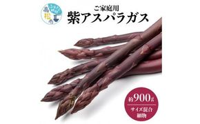 貴重で甘みが強い ! ご家庭用 紫 アスパラガス (細物・サイズ混合) 約900g【2026-6月上旬～2026-10月中旬配送】 372013_T006-250J
