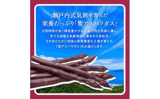 貴重で甘みが強い ! ご家庭用 紫 アスパラガス (細物・サイズ混合) 約900g【2026-6月上旬～2026-10月中旬配送】 372013_T006-250J