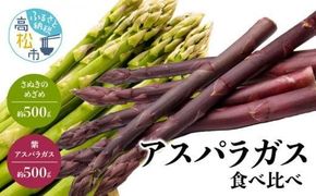 アスパラガス 食べ比べ ( 紫 アスパラガス 500g と さぬきのめざめ 500g ) 約1kg 【2026-6月上旬～2026-10月中旬配送】 372013_T006-251J