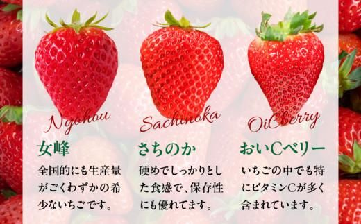高松市産いちご食べ比べセット 約2kg【2026-1月上旬～2026-5月中旬配送】 372013_T006-254J