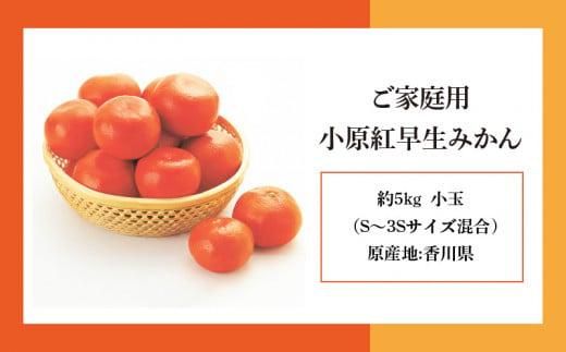 【訳あり】ご家庭用　小原紅早生みかん(サイズおまかせ)約5kg【2025年11月中旬～2026年1月中旬配送】 372013_T006-258J