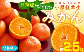 高糖度　プレミアム小原紅早生みかん化粧箱　約2.5kg【2025-11月中旬～2026-1月中旬配送】 372013_T006-260J