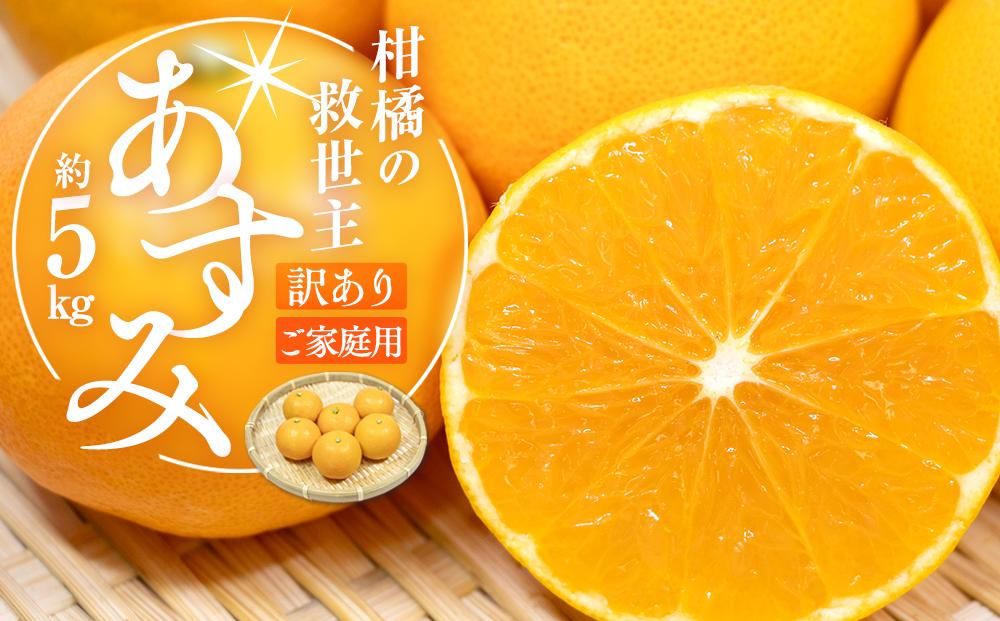 柑橘の救世主 訳あり ご家庭用 あすみ 約5kg[2026-2月上旬〜2026-3月上旬配送] 372013