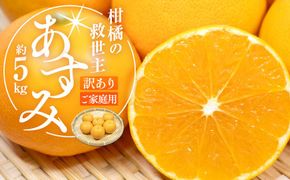 柑橘の救世主 訳あり ご家庭用 あすみ 約5kg【2026-2月上旬～2026-3月上旬配送】 372013_T006-261J