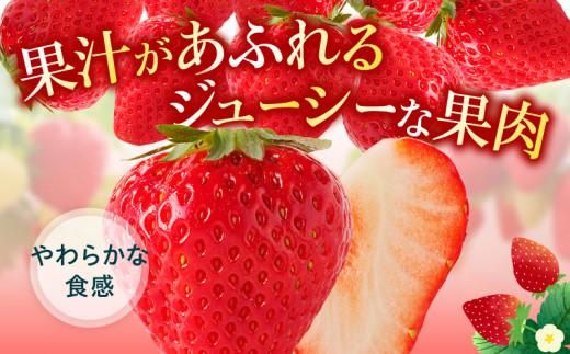 さぬきひめ いちご 化粧箱 約400g【2026年11月上旬～2027年1月下旬配送】 372013_T006-263J