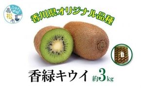 香緑キウイ　約3kg【2025-11月下旬～2026-3月下旬配送】 372013_T006-266J