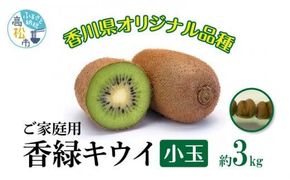 訳あり ご家庭用 香緑キウイ(小玉) 約3kg【2025-11月下旬～2025-3月下旬配送】 372013_T006-267J