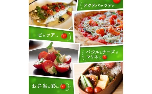 ミニトマト(バラ) 約3kg【2026-11月上旬～2027-6月中旬配送】 372013_T006-269J