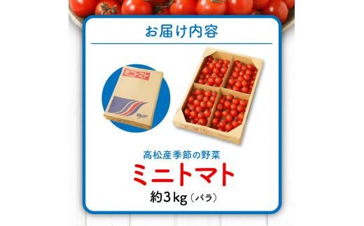 ミニトマト(バラ) 約3kg【2026-11月上旬～2027-6月中旬配送】 372013_T006-269J