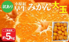 【訳あり】ご家庭用小原紅早生みかん(大玉)　約5kg【2025-11月中旬～2026-1月中旬配送】 372013_T006-270J
