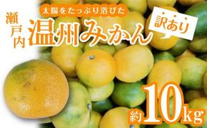 【訳あり】太陽たっぷり浴びた　瀬戸内温州みかん　約10kg【2026年10月上旬～2027年1月中旬配送】 372013_T006-274J