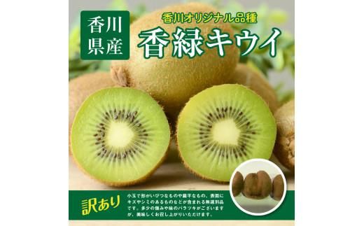 訳あり 無選別品 香川県オリジナル品種　香緑キウイ　約1.5kg【2025年12月上旬～2026年3月下旬配送】 372013_T006-276J