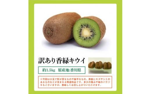 訳あり 無選別品 香川県オリジナル品種　香緑キウイ　約1.5kg【2025年12月上旬～2026年3月下旬配送】 372013_T006-276J