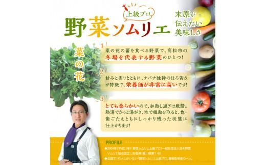 旬の野菜 菜の花 (袋入り) 約2kg【2025-12月上旬～2026-3月下旬配送】 372013_T006-278J