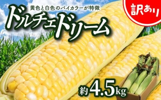 ＼寄附額改定／訳あり ご家庭用ドルチェドリーム 約4.5kg【2026年6月上旬～2026年7月上旬配送】 372013_T006-280J