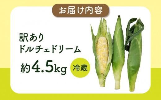 ＼寄附額改定／訳あり ご家庭用ドルチェドリーム 約4.5kg【2026年6月上旬～2026年7月上旬配送】 372013_T006-280J