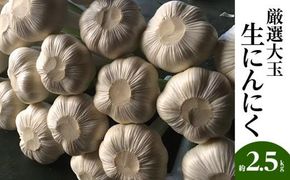 厳選大玉 生にんにく 約2.5kg【2026-5月上旬～2026-6月上旬配送】 372013_T006-281J