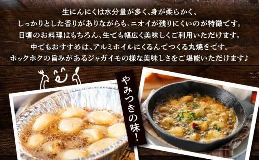 厳選大玉 生にんにく 約2.5kg【2026-5月上旬～2026-6月上旬配送】 372013_T006-281J