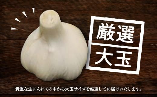 厳選大玉 生にんにく 約2.5kg【2026-5月上旬～2026-6月上旬配送】 372013_T006-281J