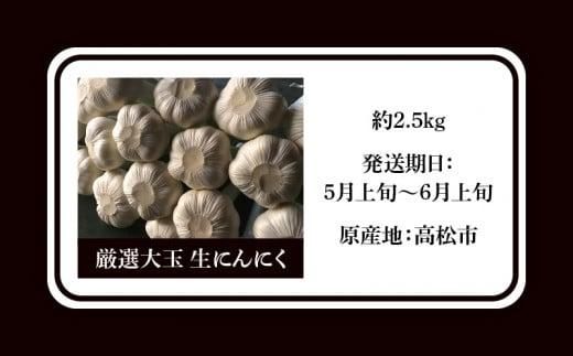 厳選大玉 生にんにく 約2.5kg【2026-5月上旬～2026-6月上旬配送】 372013_T006-281J