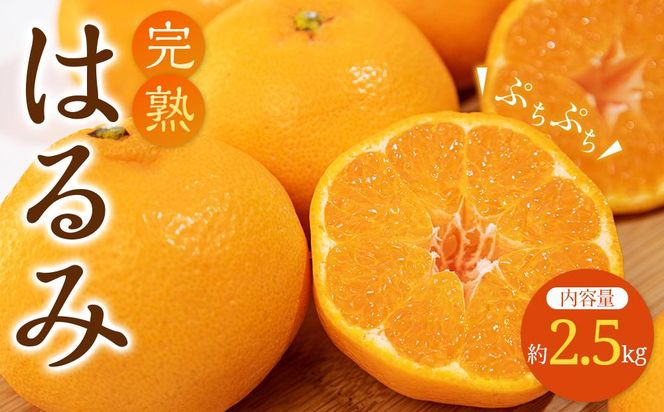 y쌧szn ͂ 2.5kgy2026-2{`2026-3{zz 372013_T006-284J