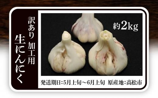 加工用 訳あり 生にんにく 約2kg【2026-5月上旬～2026-6月上旬配送】 372013_T006-285J
