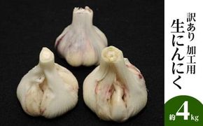 加工用 訳あり 生にんにく 約4kg【2026-5月上旬～2026-6月上旬配送】 372013_T006-286J