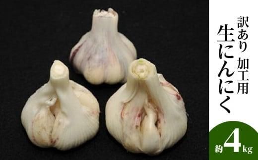 加工用 訳あり 生にんにく 約4kg【2026-5月上旬～2026-6月上旬配送】 372013_T006-286J