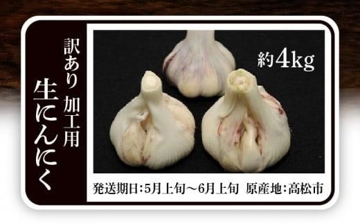 加工用 訳あり 生にんにく 約4kg【2026-5月上旬～2026-6月上旬配送】 372013_T006-286J