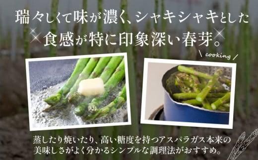 柔らかさと甘みが際立つ さぬきのめざめ春芽 約800g【2026-1月下旬～2026-2月下旬配送】 372013_T006-287J