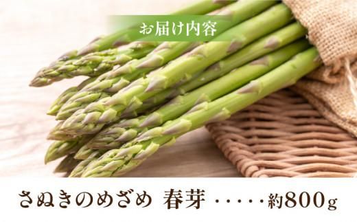 柔らかさと甘みが際立つ さぬきのめざめ春芽 約800g【2026-1月下旬～2026-2月下旬配送】 372013_T006-287J