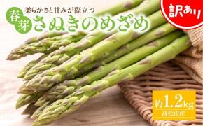 訳あり 柔らかさと甘みが際立つ さぬきのめざめ春芽 約1.2kg【2026-3月上旬～2026-4月下旬配送】 372013_T006-289J