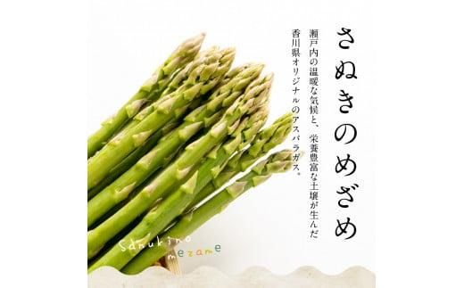 訳あり 柔らかさと甘みが際立つ さぬきのめざめ春芽 約1.2kg【2026-3月上旬～2026-4月下旬配送】 372013_T006-289J