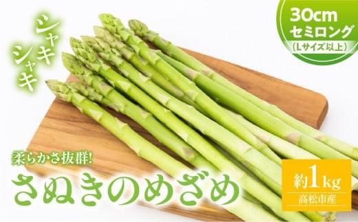 柔らかさ抜群! さぬきのめざめセミロング30cm(Lサイズ以上) 約1kg【2026-3月上旬～2026-3月下旬配送】 372013_T006-290J