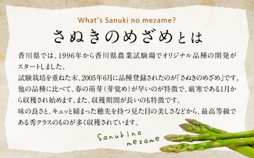 柔らかさ抜群! さぬきのめざめセミロング30cm(Lサイズ以上) 約1kg【2026-3月上旬～2026-3月下旬配送】 372013_T006-290J